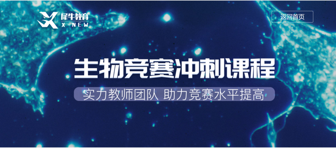 Brain bee脑科学赛事