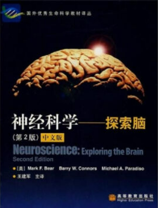 BrianBee脑科学竞赛
