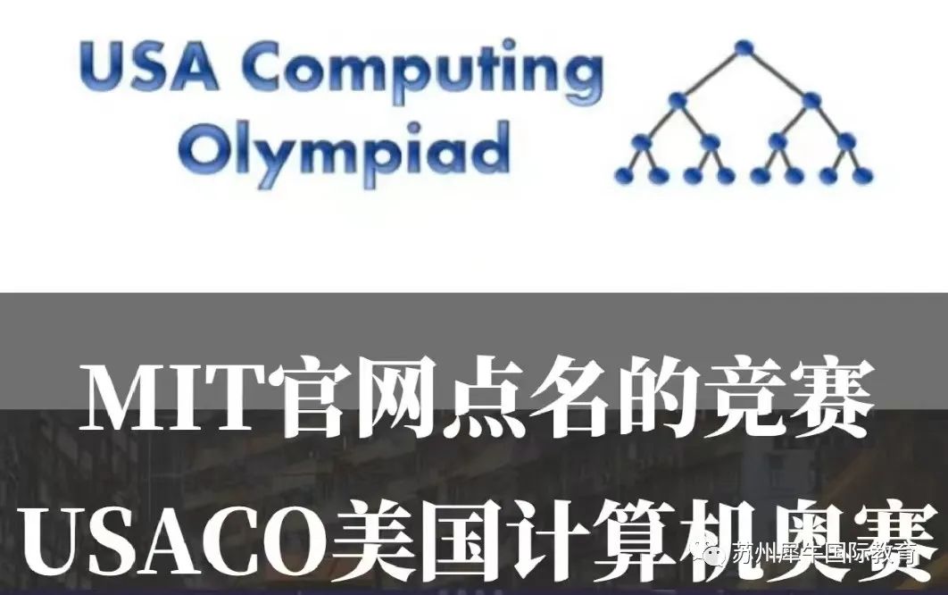 USACO竞赛