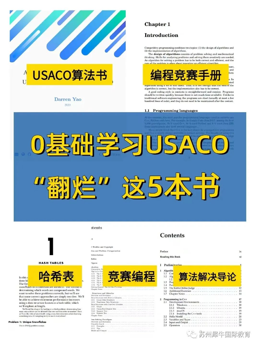 USACO竞赛