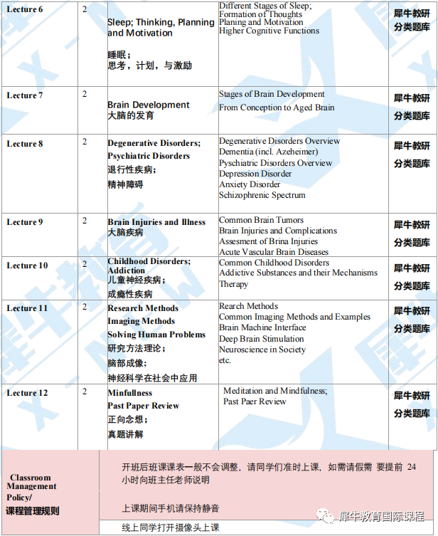 Brain Bee 脑科学大赛