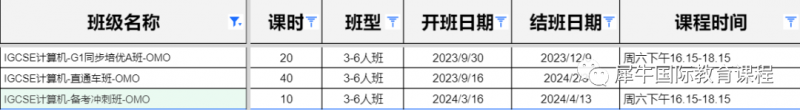 IGCSE课程