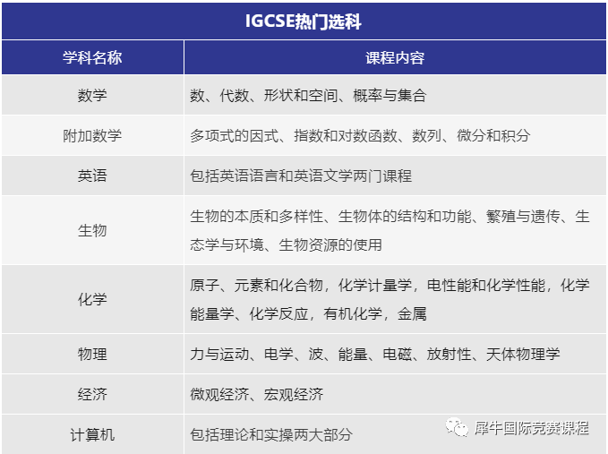IGCSE课程