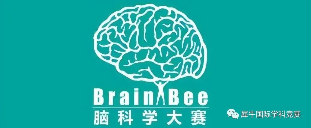 Brain Bee竞赛