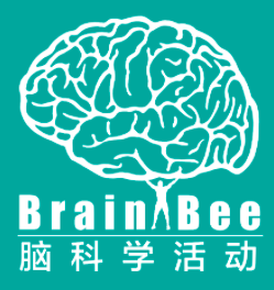 国际竞赛