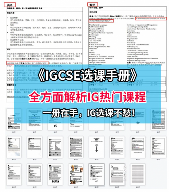 IGCSE课程