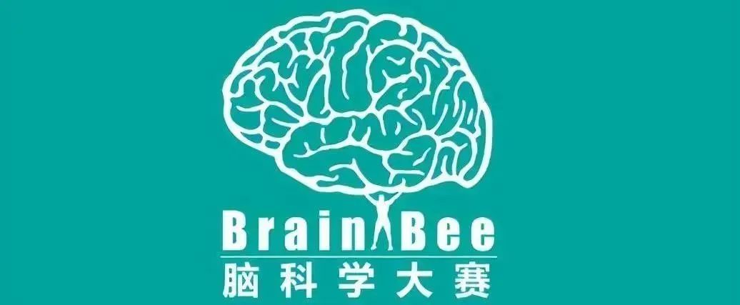 Brainbee生物竞赛
