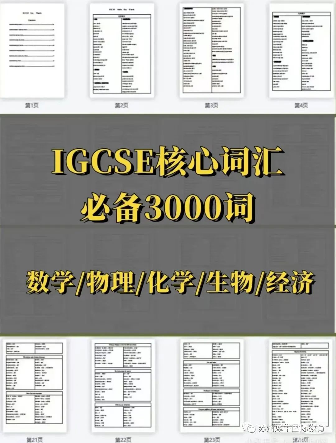 IGCSE经济