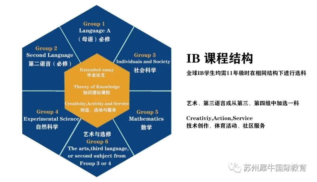 IB大考,IB考试,IB国际课程培训,IB辅导,