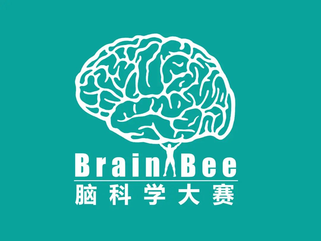 北京国际学校春招
