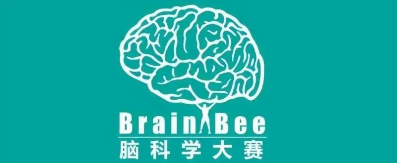 BBO竞赛