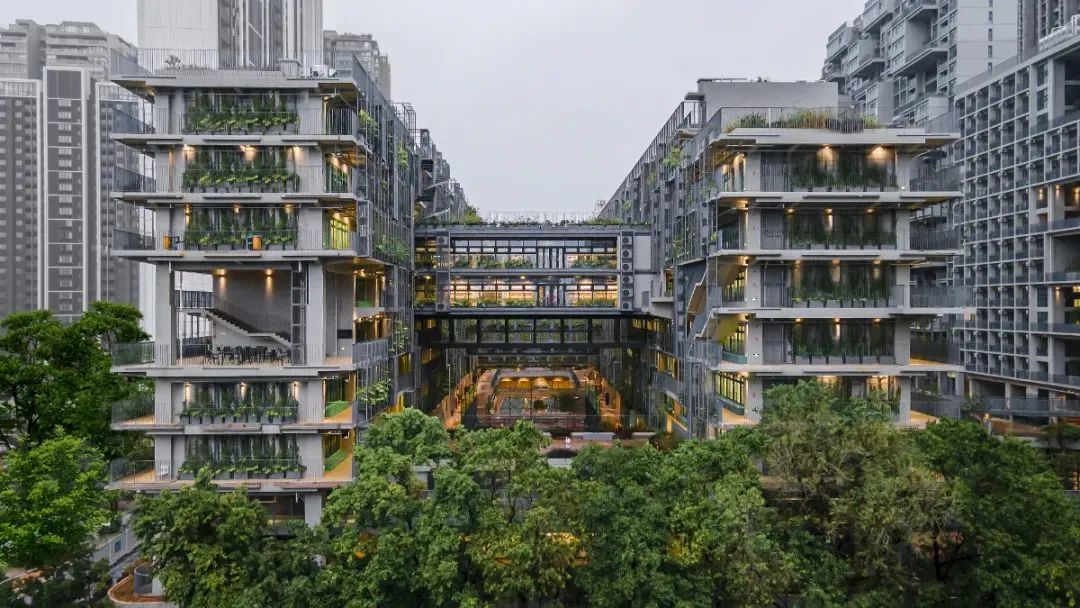 深圳国际交流学院,深国交牛剑班,深国交入学考试,深国交入学后如何规划,犀牛国际国高择校备考,犀牛国际课程培训,