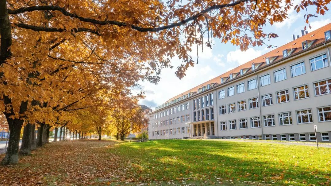 上海国际学校