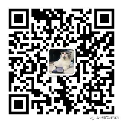 IB课程