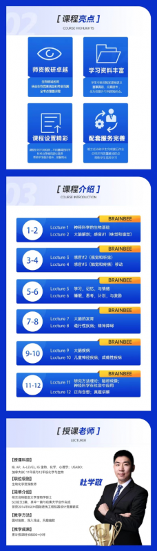 BrainBee竞赛