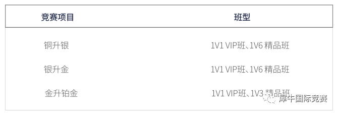 USACO计算机竞赛,USACO竞赛时间,USACO比赛内容,犀牛USACO竞赛培训,