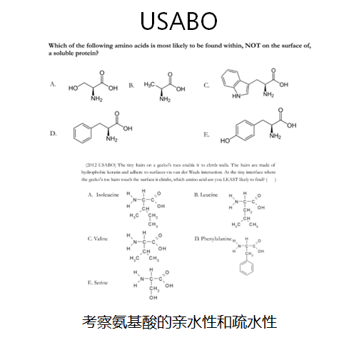 USABO竞赛