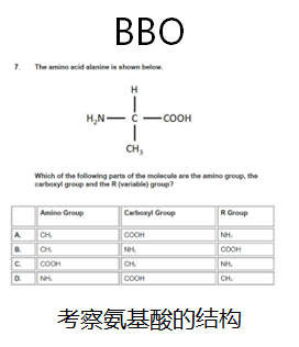 USABO竞赛