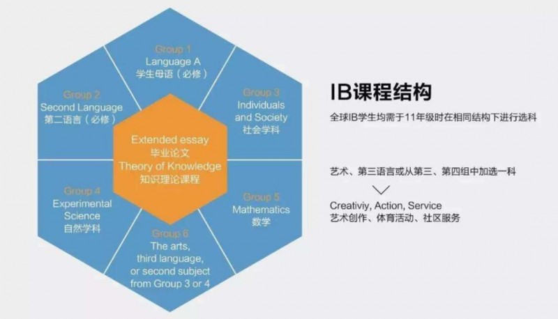IB课程