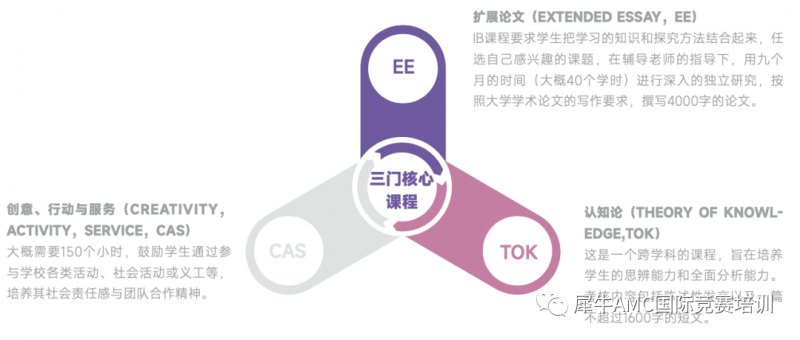 IB课程