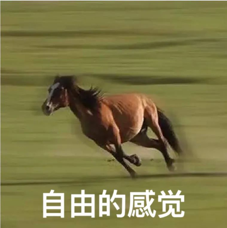 美国留学