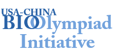 国际竞赛