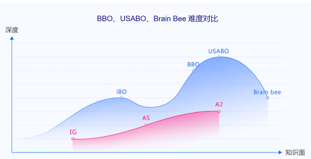 国际竞赛