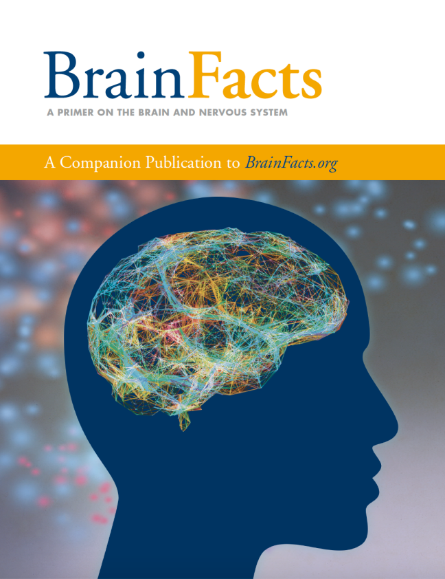 Brain Bee脑科学活动