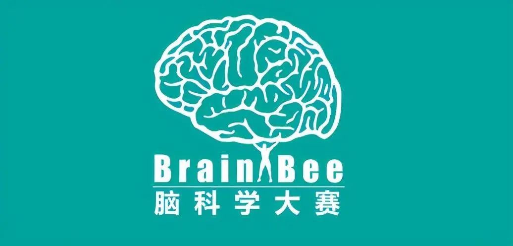 国际竞赛