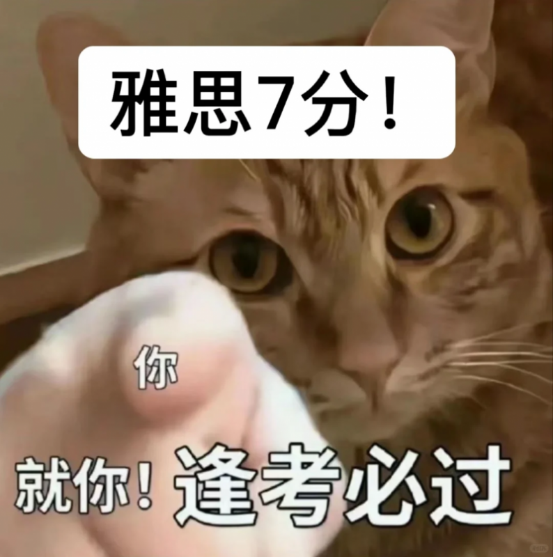 雅思