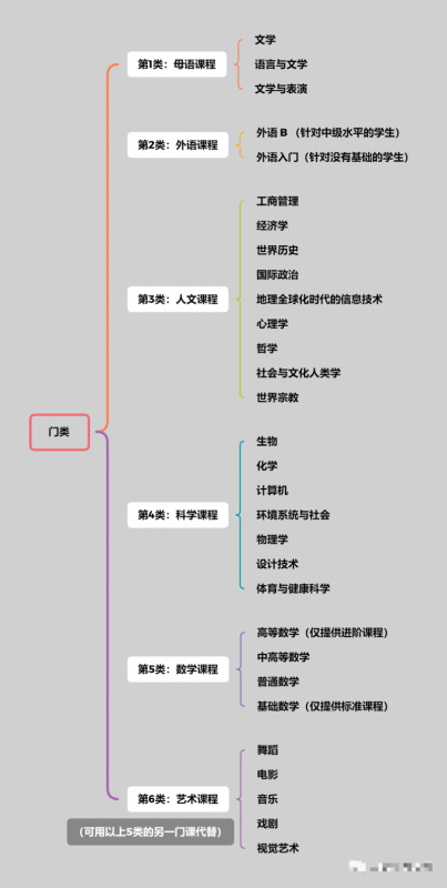 IB课程