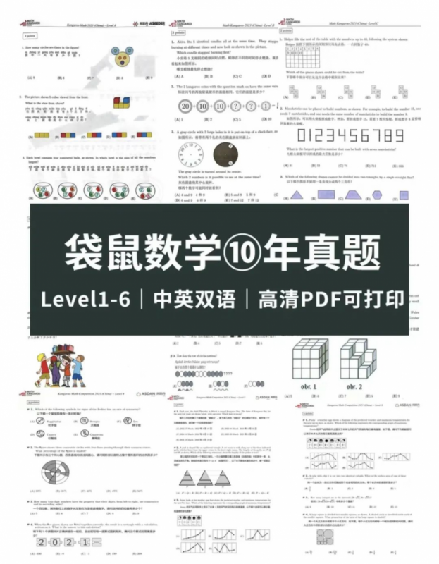 袋鼠数学竞赛