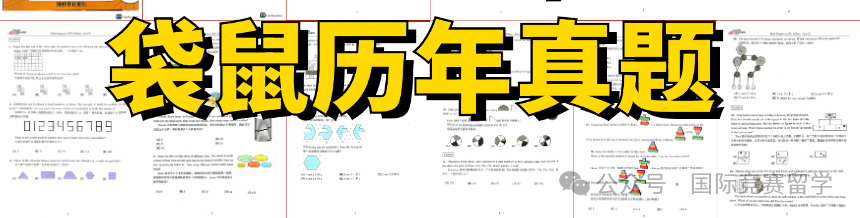 袋鼠数学竞赛