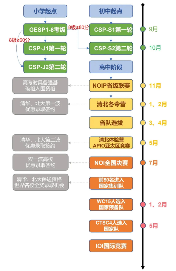 信奥赛