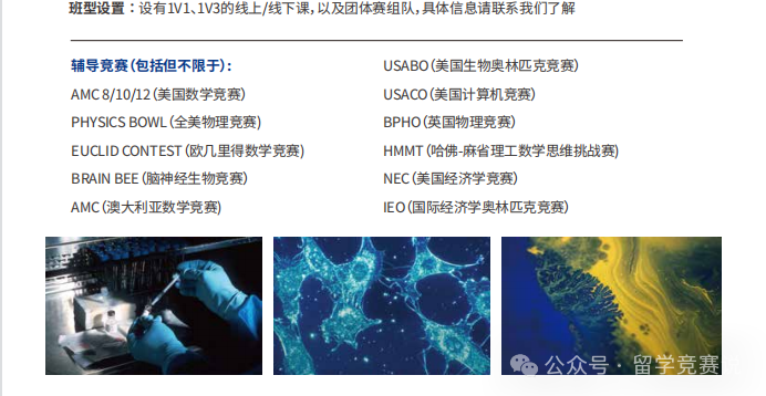 国际竞赛