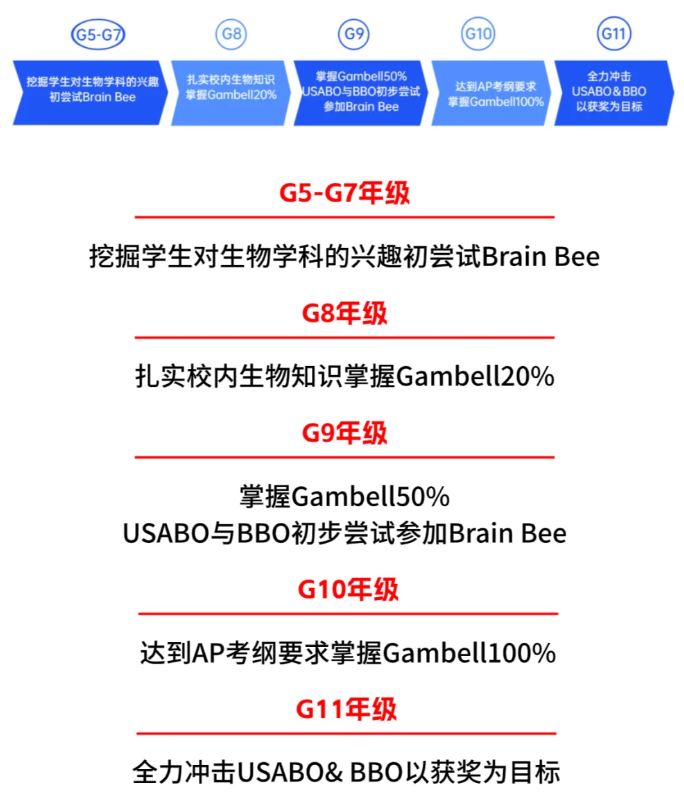 BrainBee脑科学活动