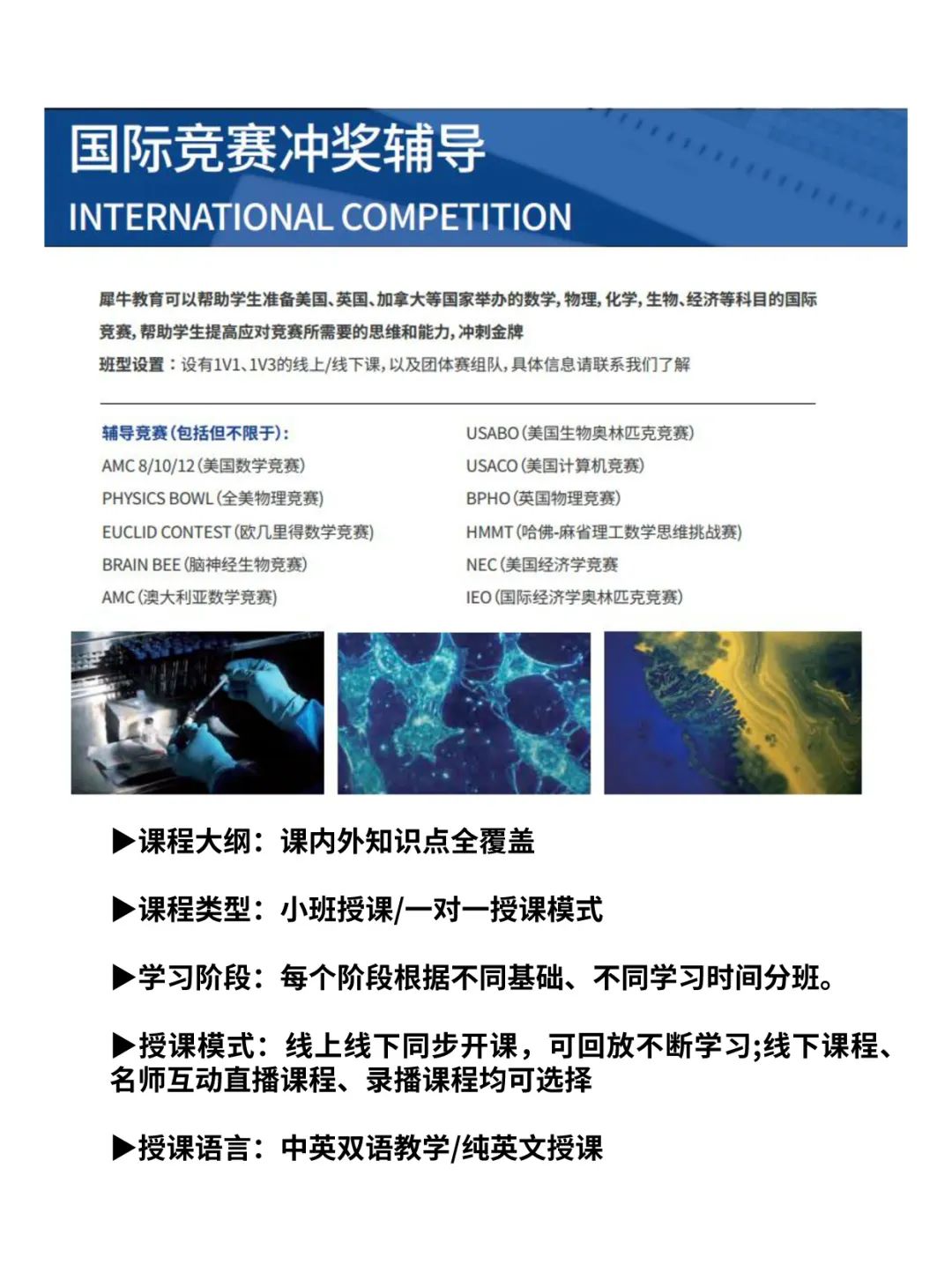 国际竞赛