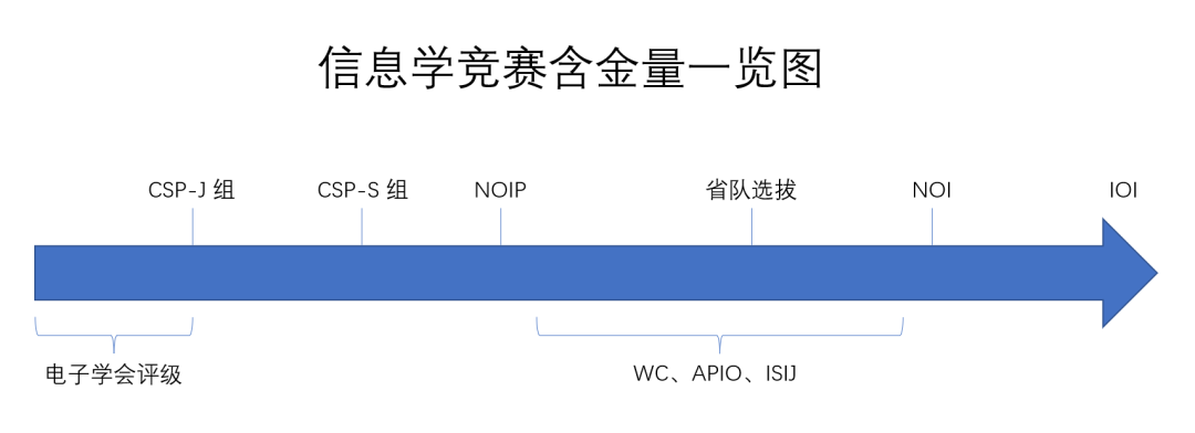 信奥赛