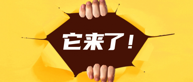 上海三公
