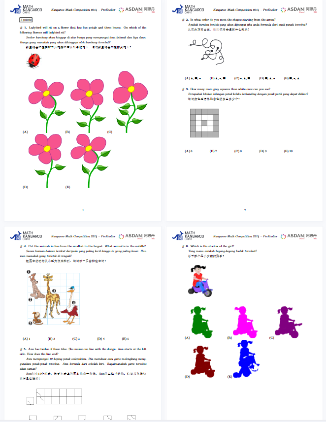 袋鼠数学竞赛