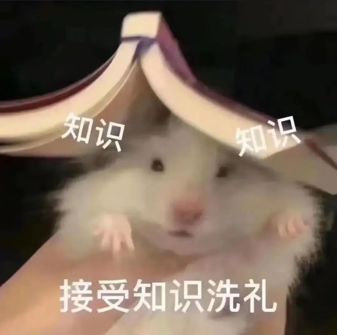小托福