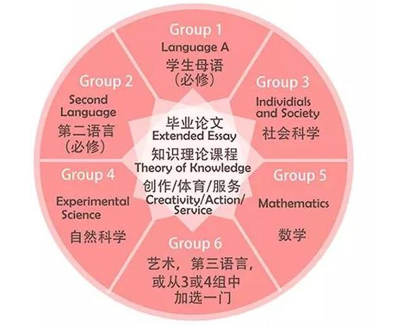 IB课程