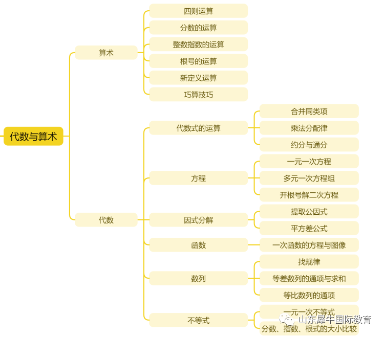 AMC8竞赛