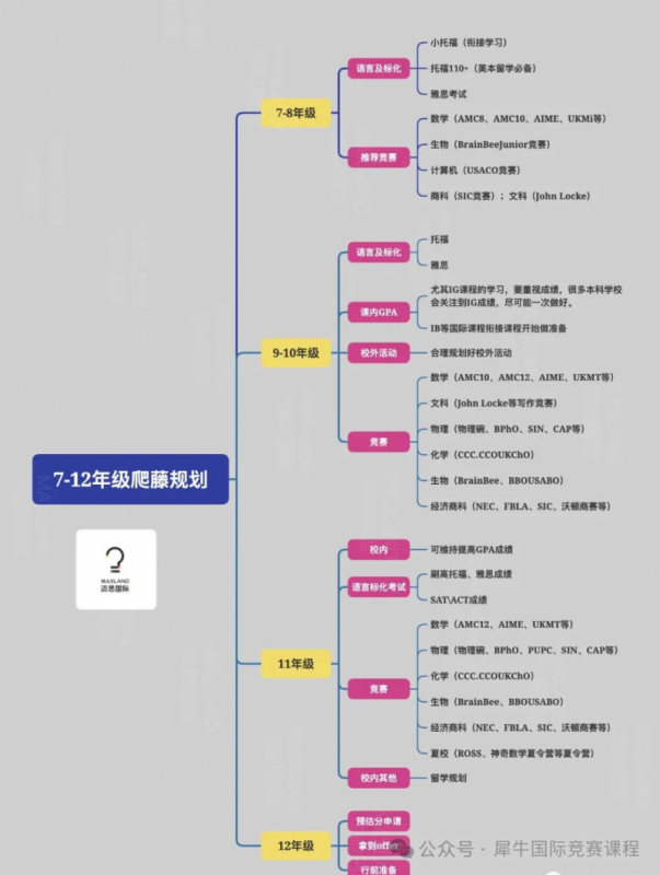 国际竞赛