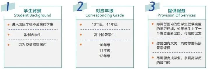 IGCSE课程