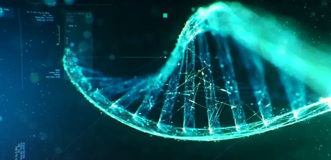 IBO