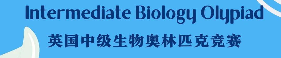 iBO竞赛
