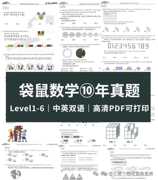 袋鼠数学竞赛
