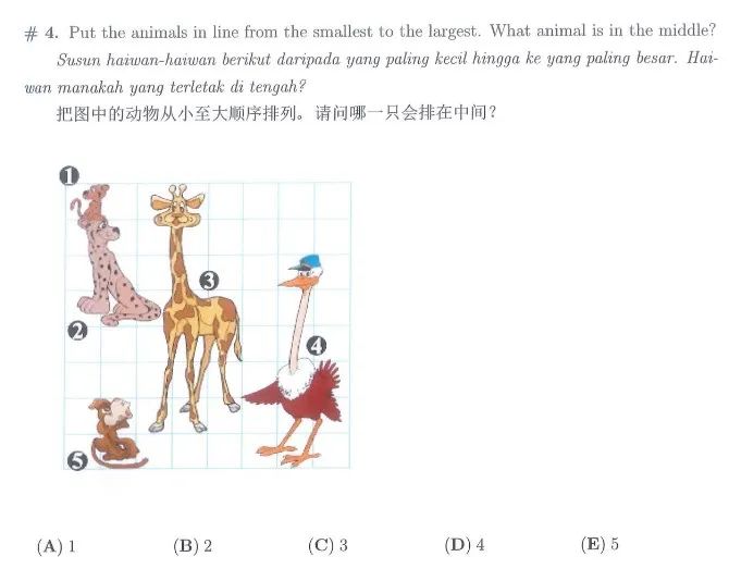 袋鼠数学竞赛