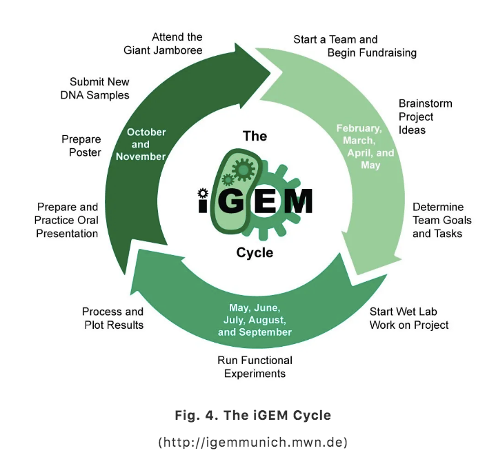 iGEM 